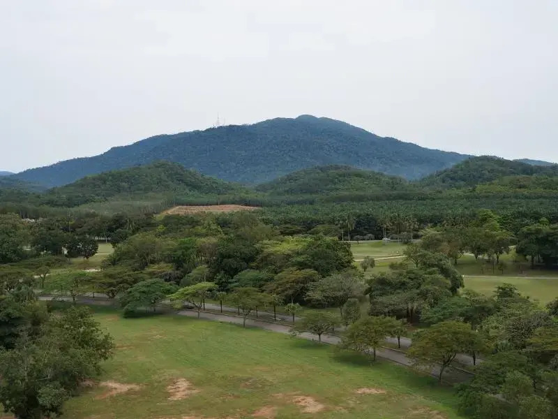 Purple Dream Condotel