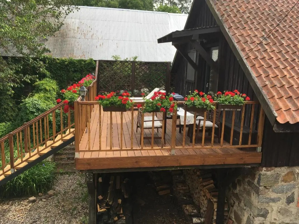 Siedlisko Dzika Kaczka
