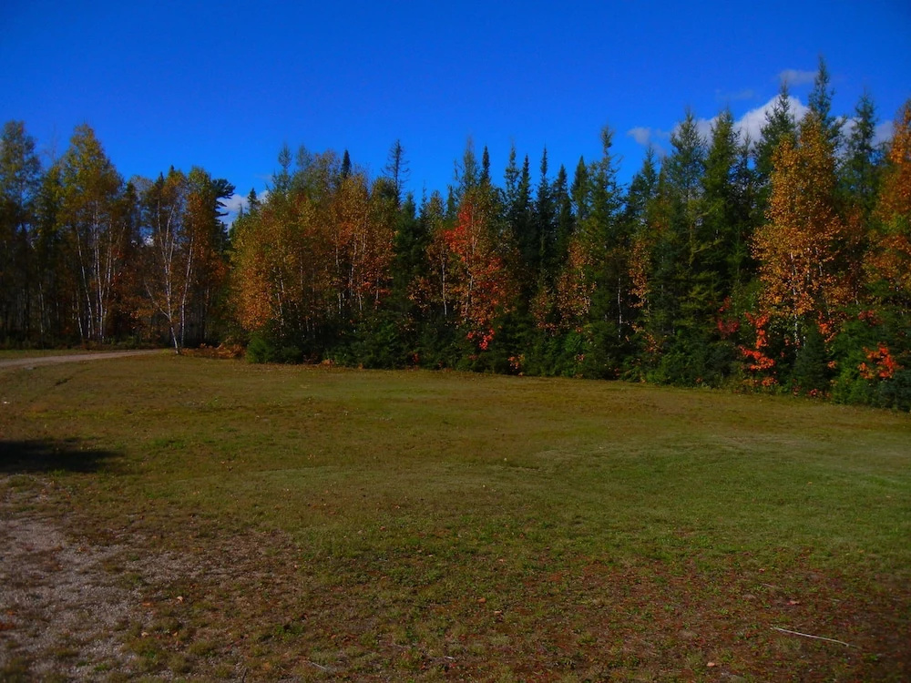 Shores of Deer Lake