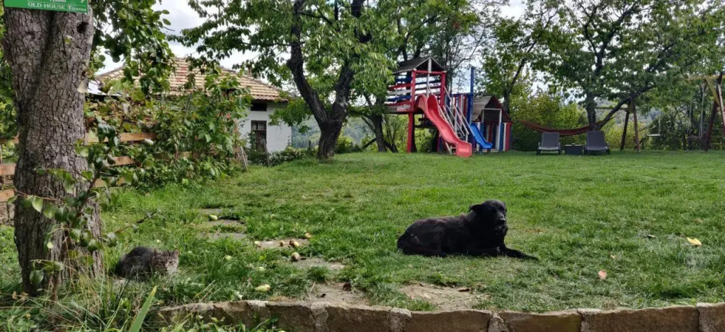 Старата къща - Трявна