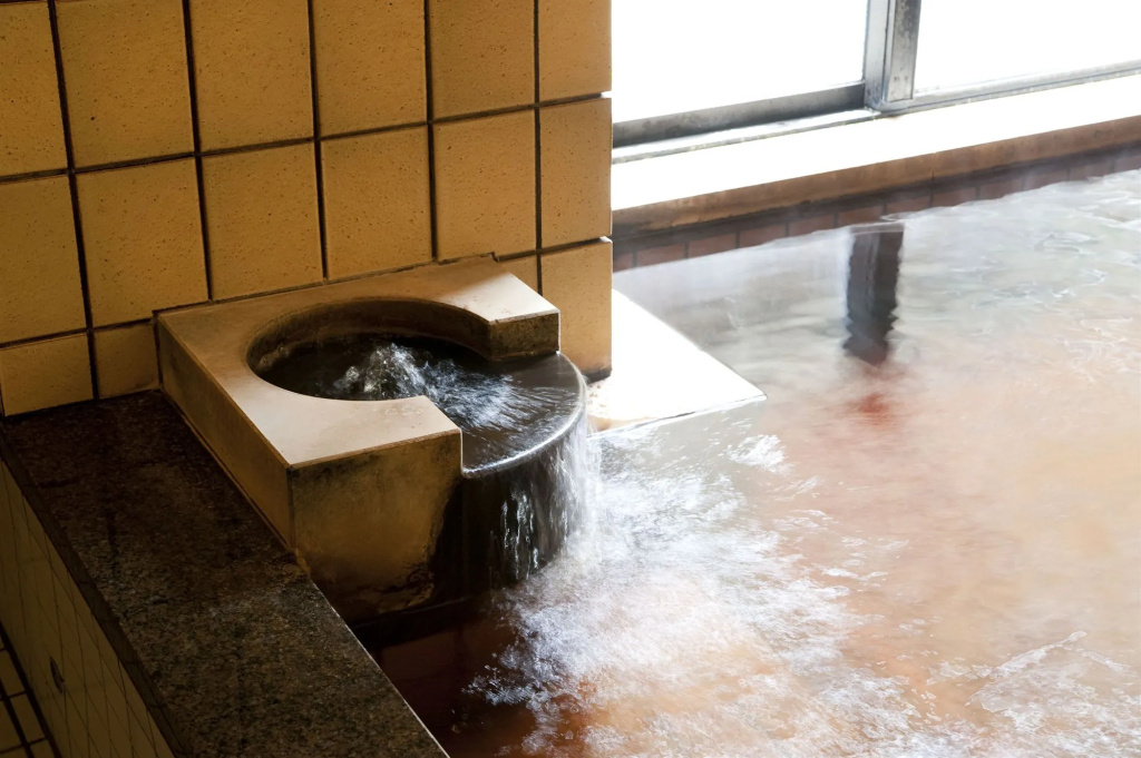 Kanazawa Hakuchoro Hotel Sanraku -Natural Hot Spring-