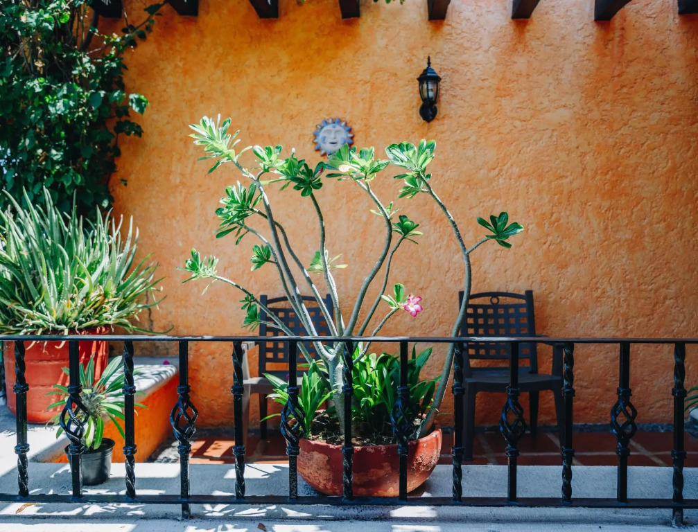 Hotel Lunata - 5th Avenue