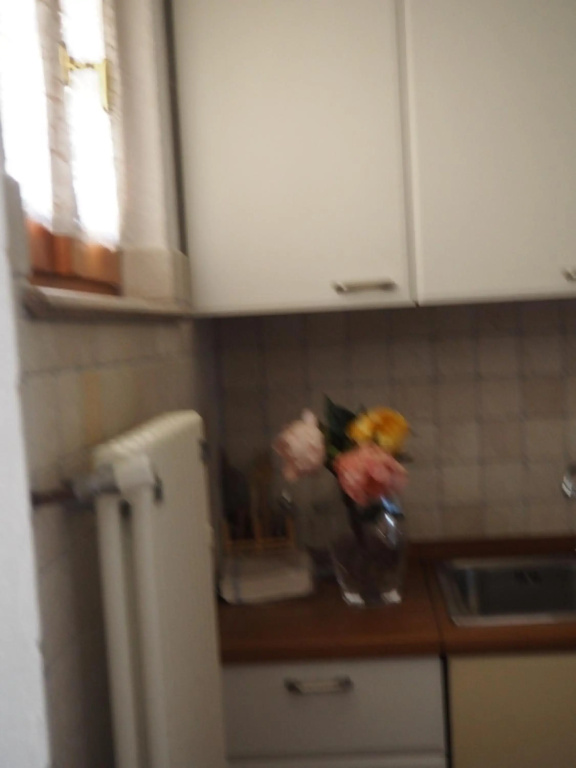 monolocale in villa