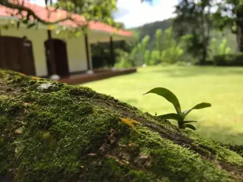 Villa Vibe