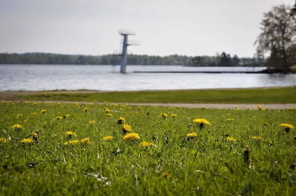Evedals Vandrarhem Växjö