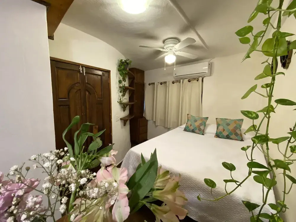 CABO BOHEMIA Tropical Garden Studios