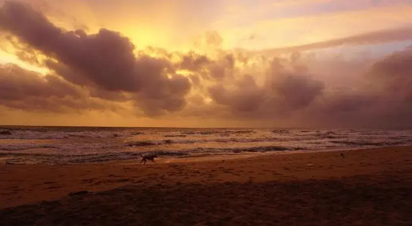 Puetz Travels Beach Resort