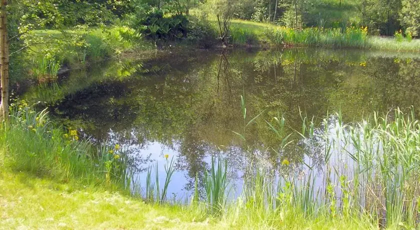 B&B t Woudsebos