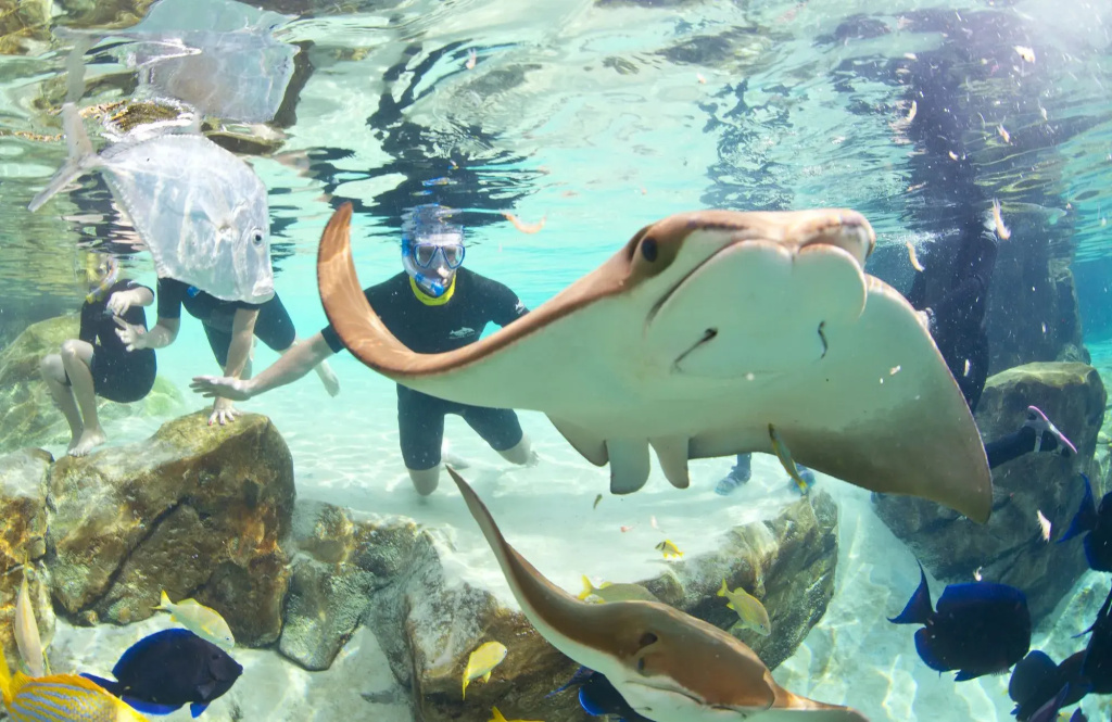 Staybridge Suites Orlando at SeaWorld by IHG - Free Breakfast & Shuttle to SeaWorld Parks