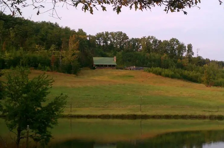 Misty Meadow Farm & Cabin