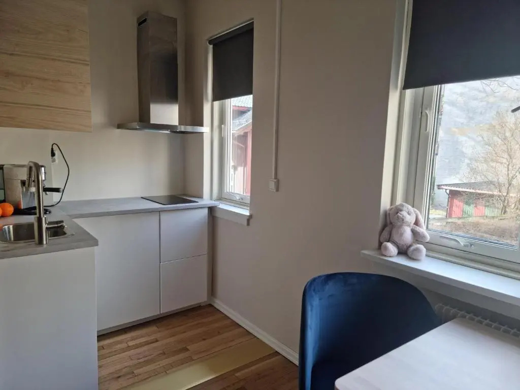 Majorstuen studio apartment