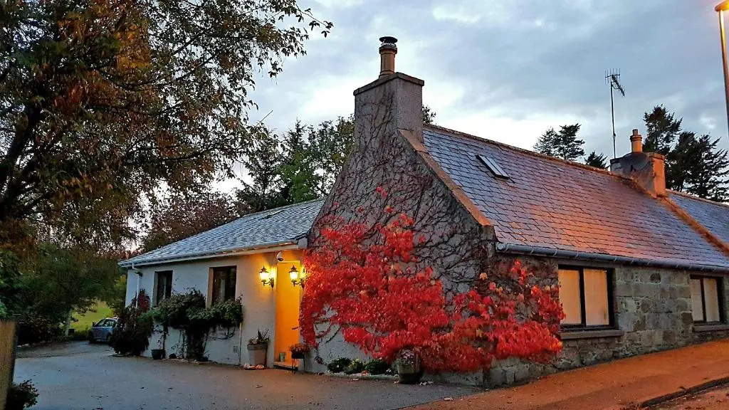 Lilyoak Bed & Breakfast