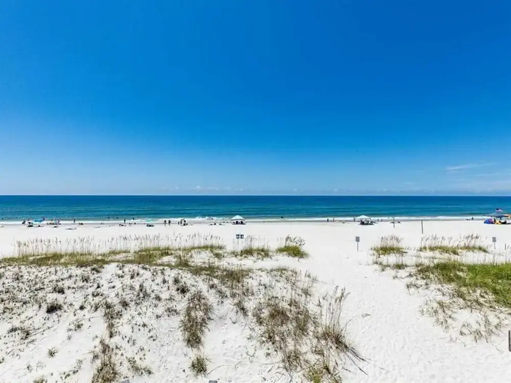Sweet Alabama
