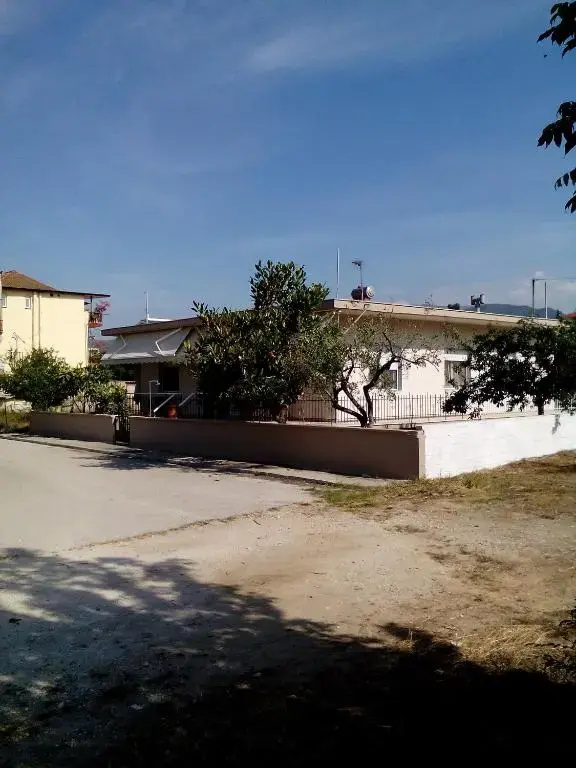 Iordanis