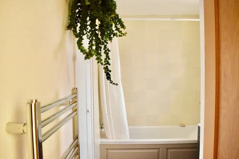 2 Bedroom Flat With Balcony in Homerton