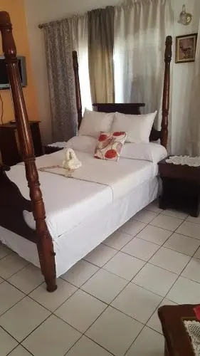 Palm Tree Guest House