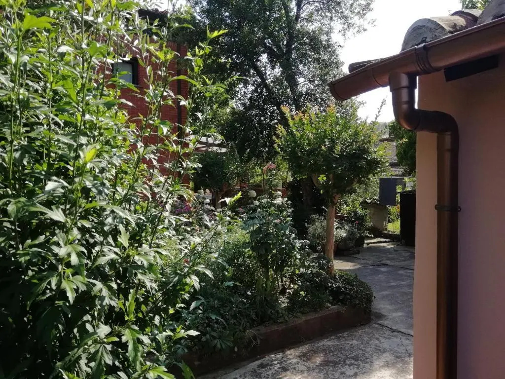 Casa Rina