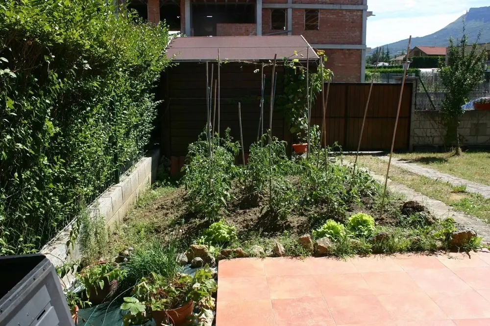 Nature Near Bilbao