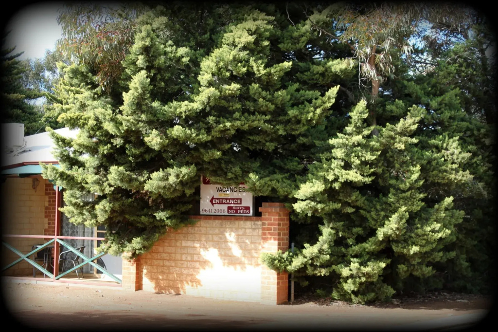 York's Boutique Motel