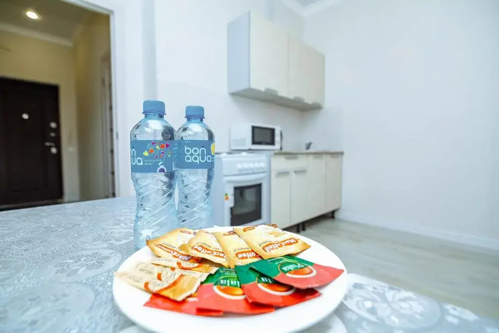 Apartment on Kabanbay batyra avenue 29