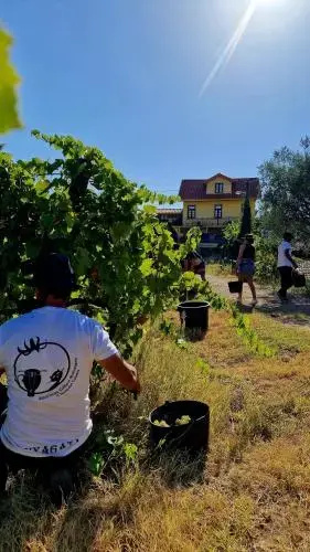 Quinta do Chao D'Ordem