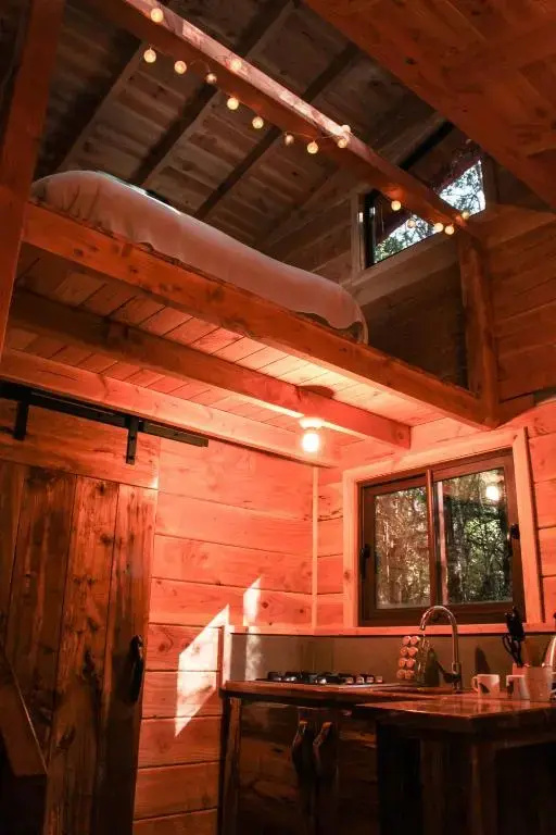 Cabañas Bosque Milenario