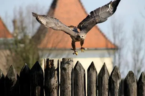 Apartmany Kanianka