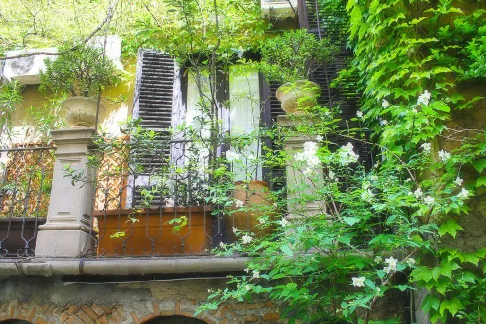 Inn The Garden