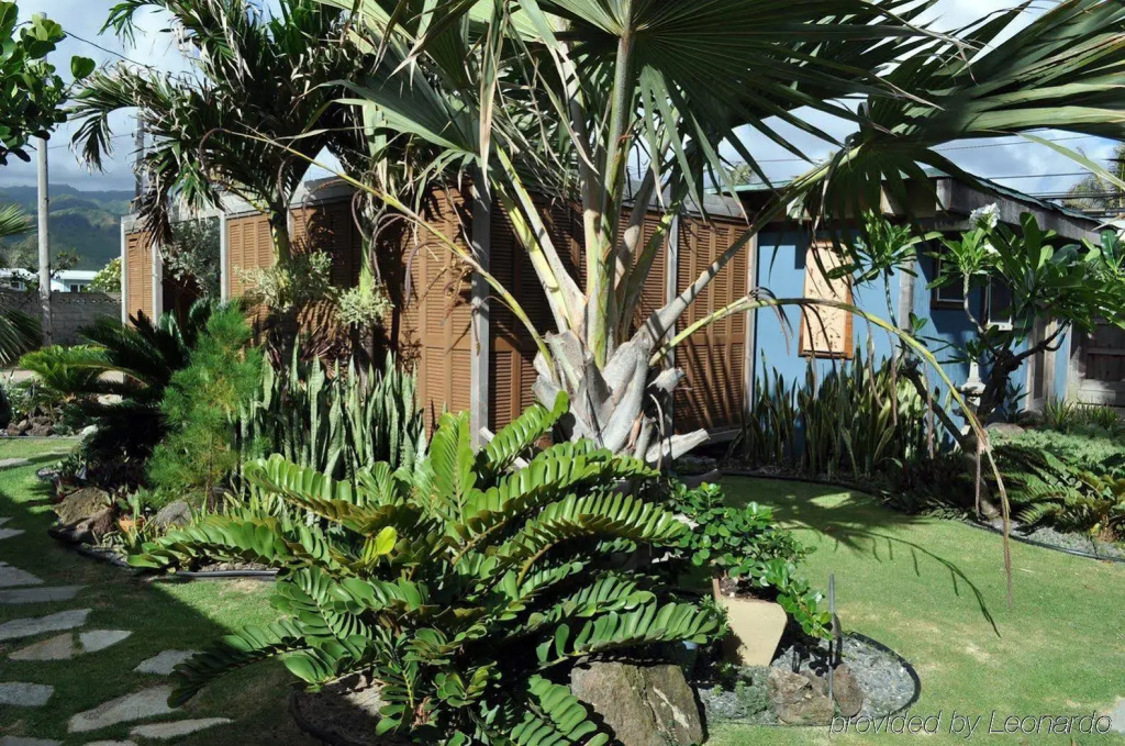 Tiki Moon Villas