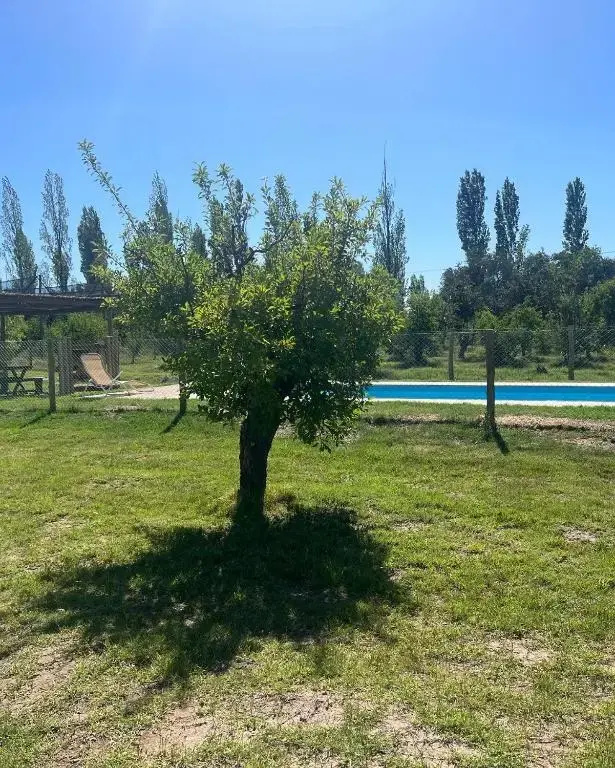 Victoria’s House