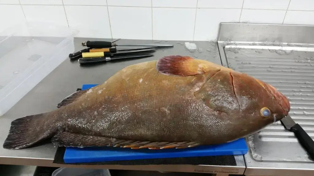 S'apposenteddu Affittacamere del Ristorante da Stefano
