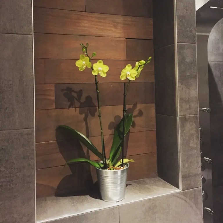 Apartment With 4 Bedrooms in Montréal, With Enclosed Garden and Wifi