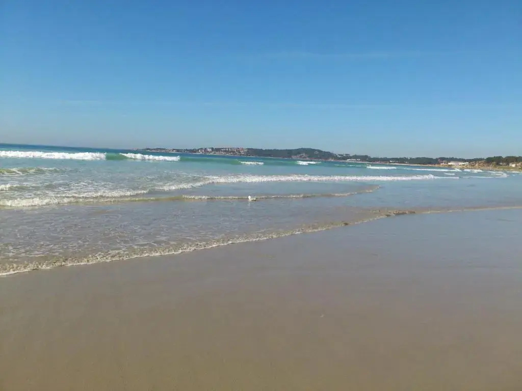 9 Olas