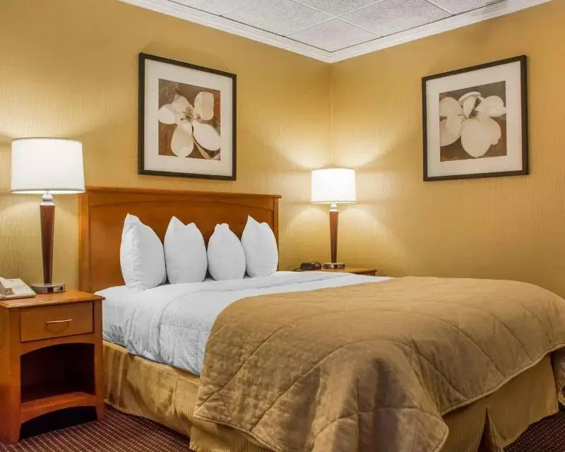 Quality Inn & Suites Riverfront