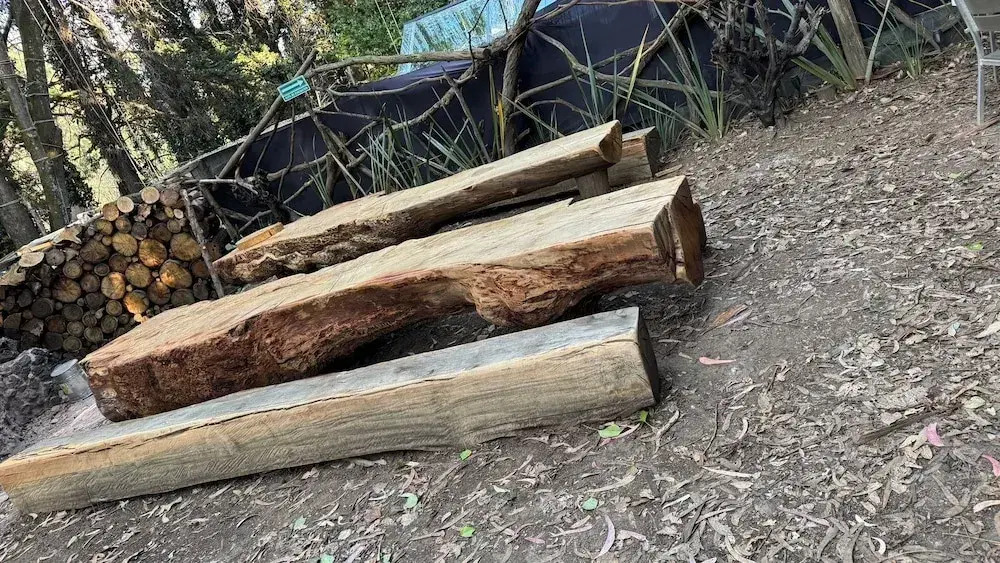 Hotel Glamping CM Mindfulness