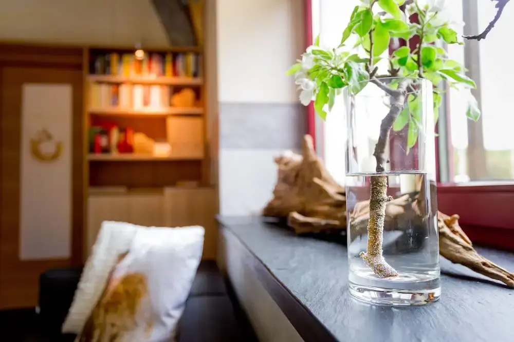 SCHLOSS RANZOW - kleines Romantik Hotel - Wellness - Golfplatz - Hochzeiten & Feiern