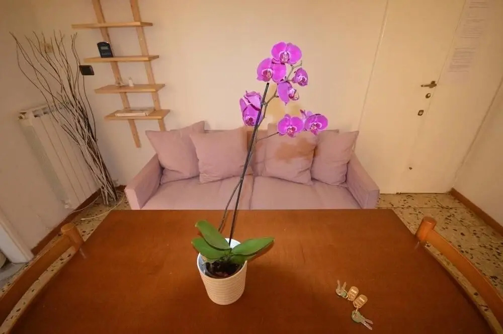 Bruni Apartment