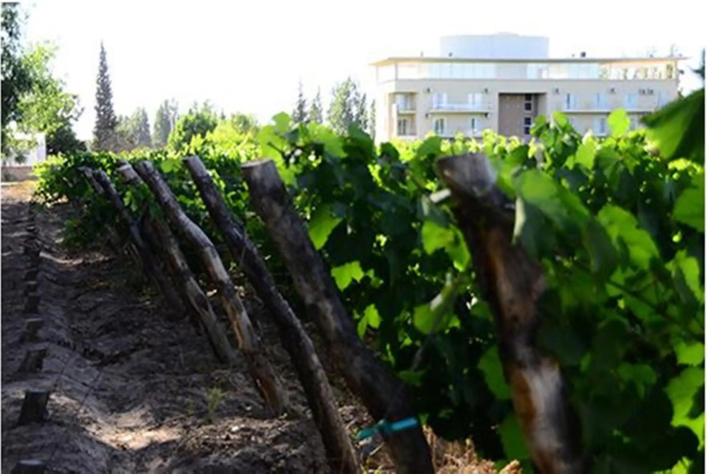 Hotel Finca Hermitage