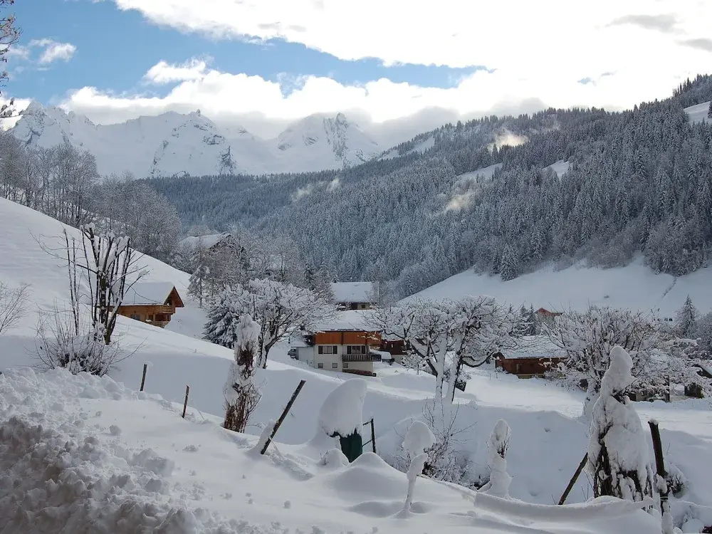 Cozy Chalet in Grand-Bornand with Garden Furniture