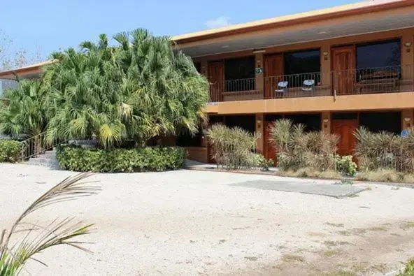 Hotel Dona Marta