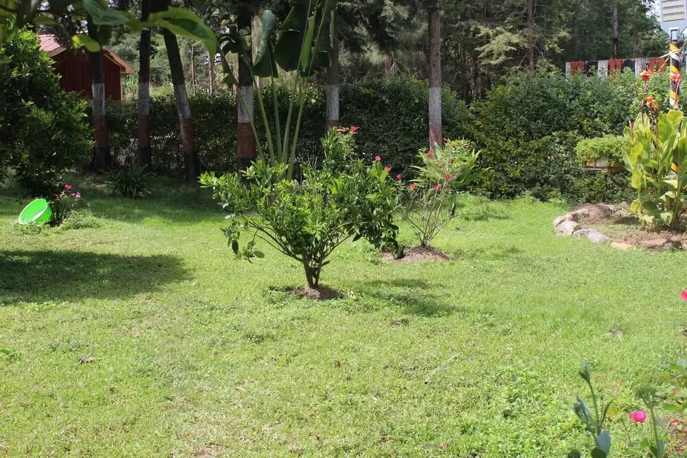 Tranquil homestays