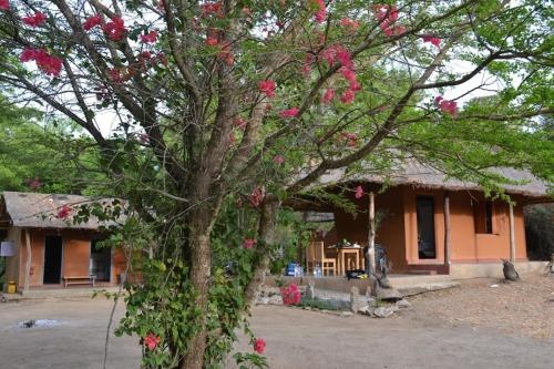 JD's Eco Bungalow