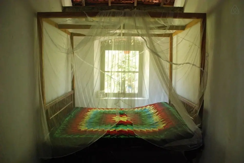 The Jungle House
