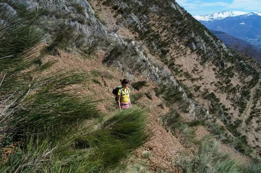 La Trabesse : à 20 Minutes De Marche, Déconnexion Et Silence En Plein