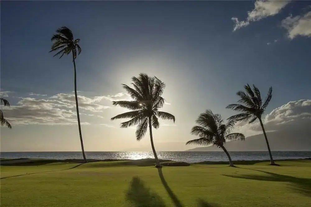 Maui Sunset #A-117