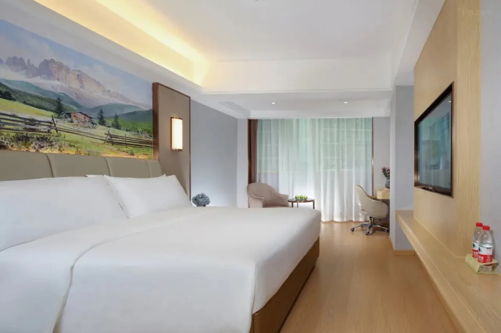 Vienna International Hotel (Wanzhou Gaosuntang Pedestrian Street Branch)