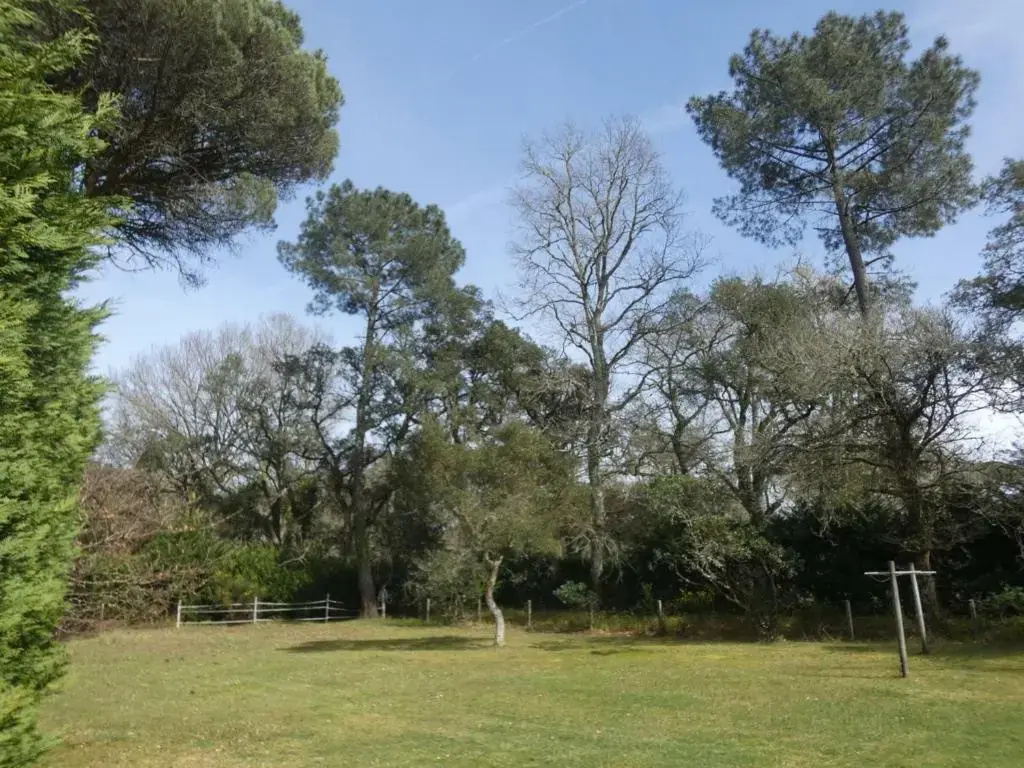 Gîte Azur, 3 pièces, 4 personnes - FR-1-360-280