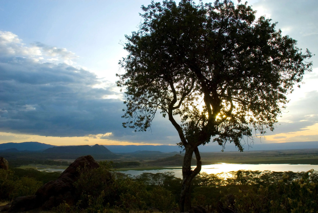 Jacaranda Lake Elementaita Lodge
