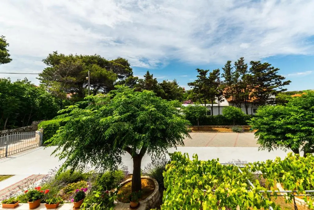 Apartments Nikaia