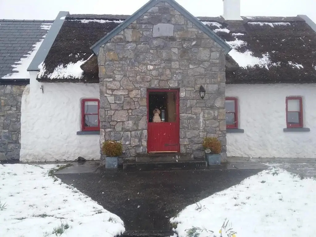 The Thatched Cottage B&B